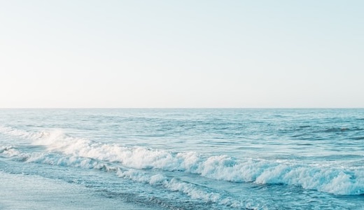 ＜法人向け＞セミナー・講演会・店舗アドバイスサービス